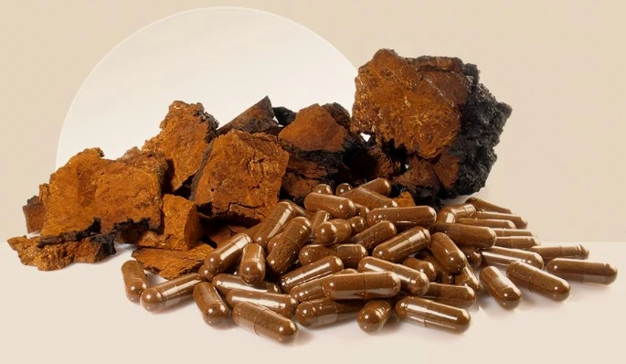 chaga mushroom benefits.jpg